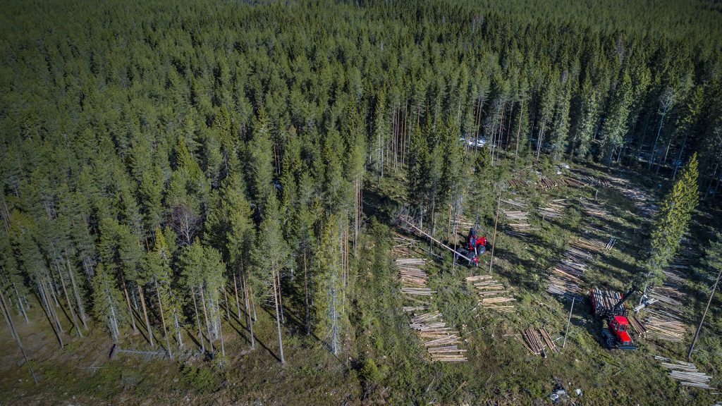 Korjuuyrittäjä Stora Ensolla