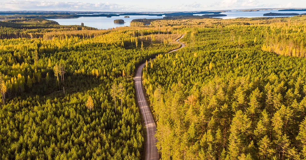 Metsää voi hoitaa etänä.