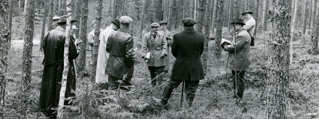 Metsänarviointi käynnissä 1950-luvulla. Metsäammattilaiset tarkastelevat, onko kyseessä mustikka- vai puolukkatyyppi, ehdotetaanko metsälle lepoa vai harvennusta ja mikä on kyseisen palstan metsänhoidollinen tila. Kuva on julkaistu Enso-Gutzeitin henkilöstölehdessä vuonna 1958. Lähde: Suomen elinkeinoelämän keskusarkisto ELKA.