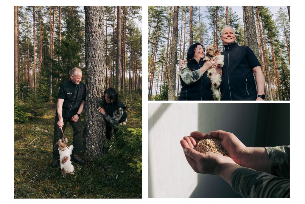 Kinnarin tilan kotimaista kauraa.