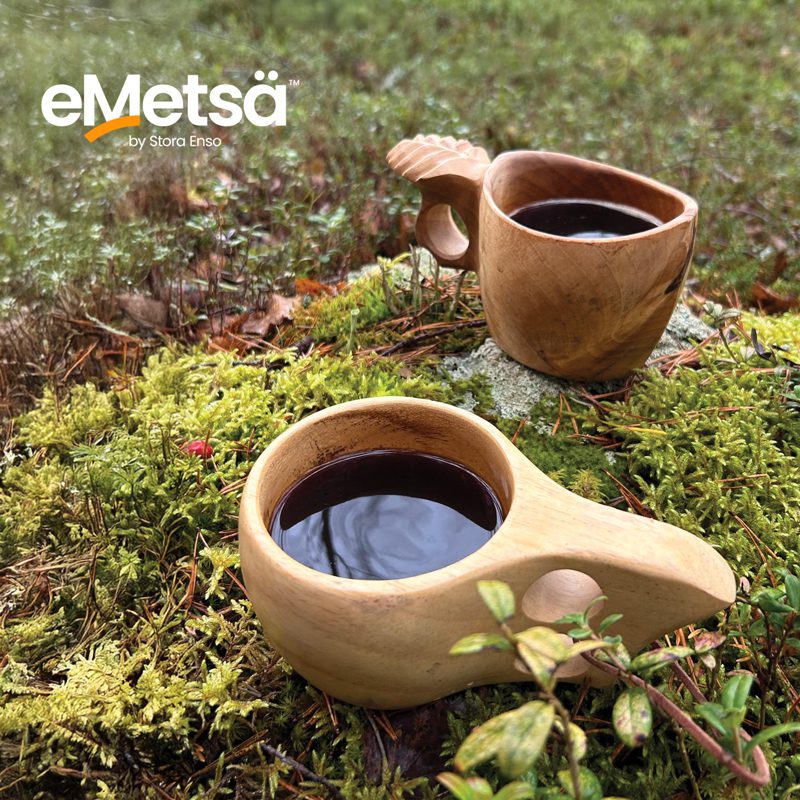 Varhaisperkaus vauhdittaa metsäsi kasvua, tule kuulolle webinaariin vaikka metsässä retkeillessäsi.