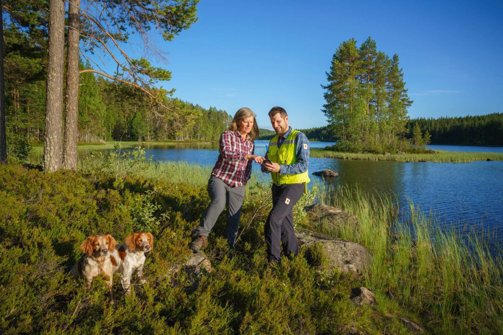 metsäsuunnitelma