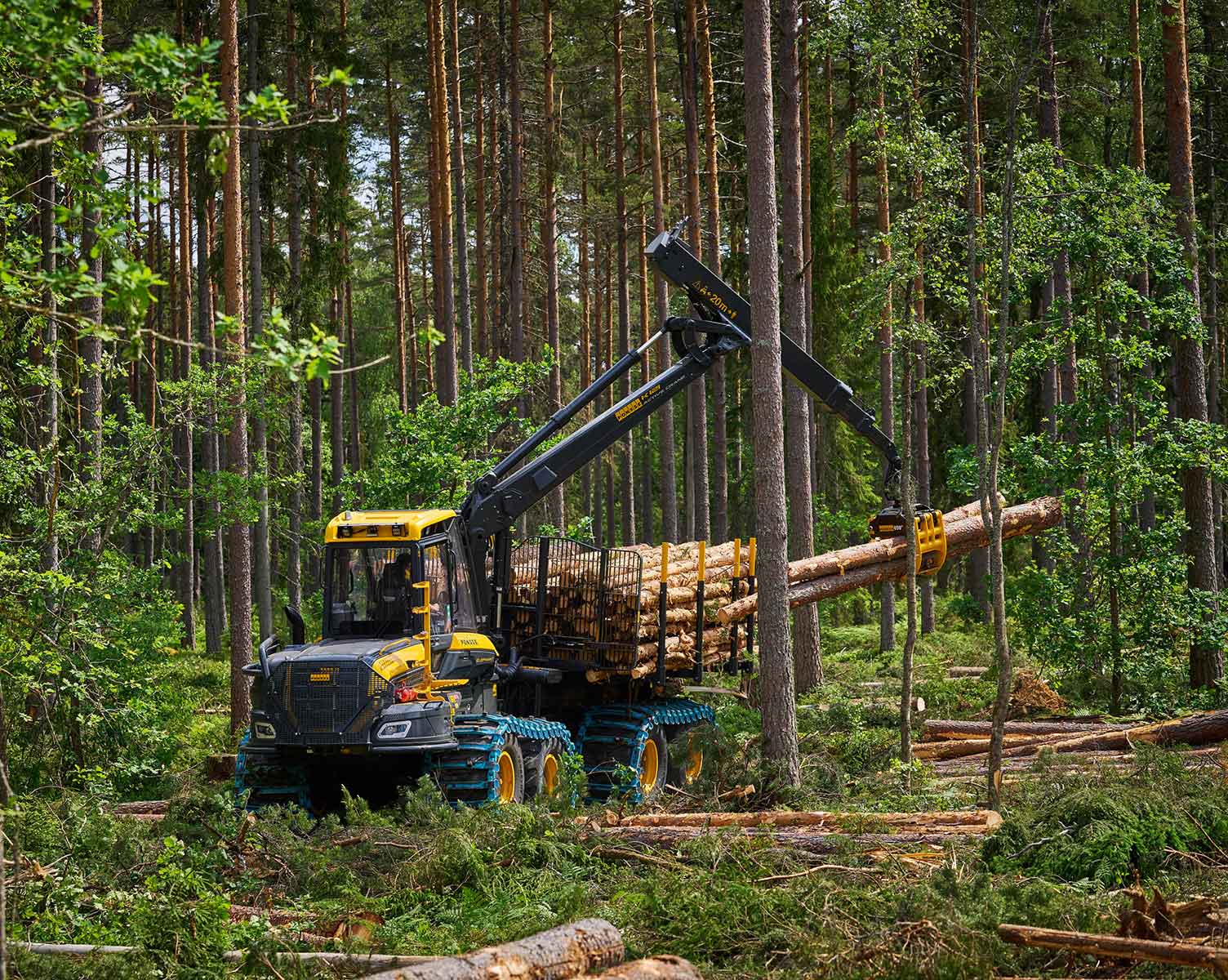 Metsänäytös