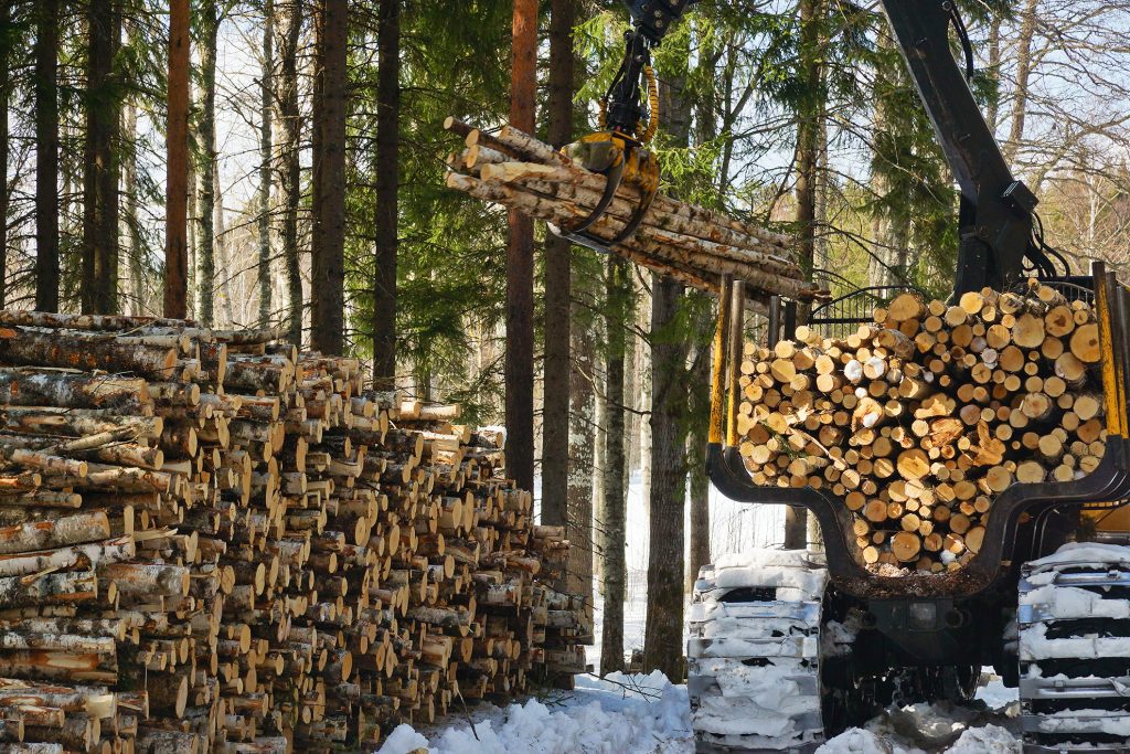 Puutavaran mittaus varastointipaikalla.