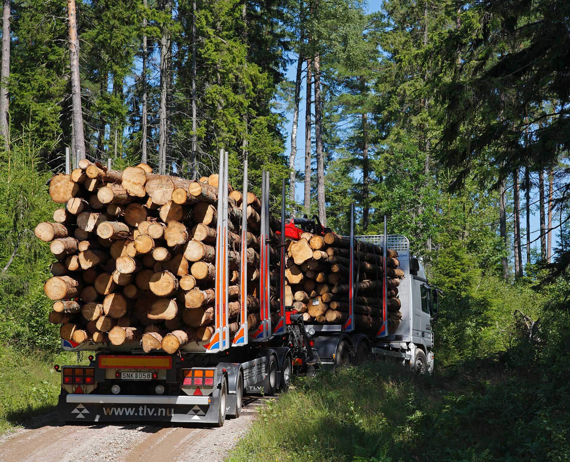 Kestävä metsänhoito ei kuitenkaan ole pelkästään ympäristön suojelua.