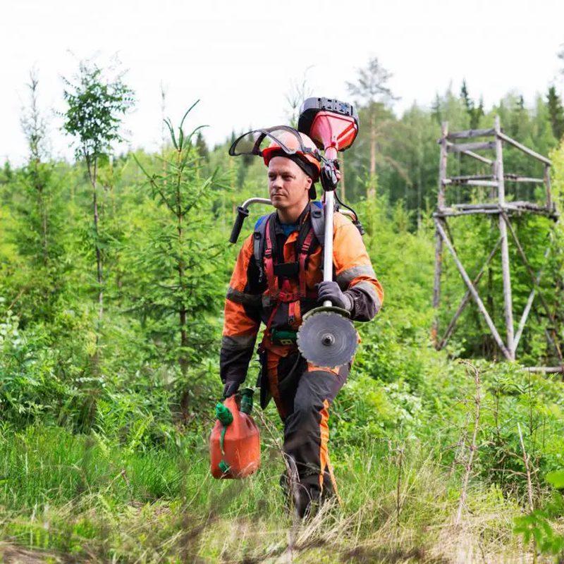 Metsätyöntekijä varhaisperkaustöissä.