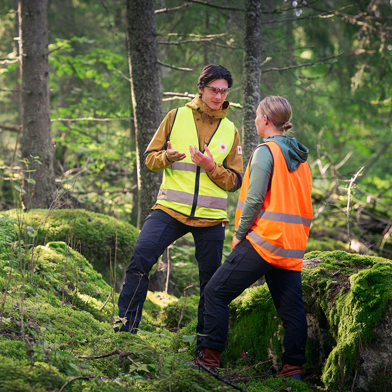 Metsäasiantuntija kertoo uusista asiakaseduista metsänomistajalle kuusimetsässä.