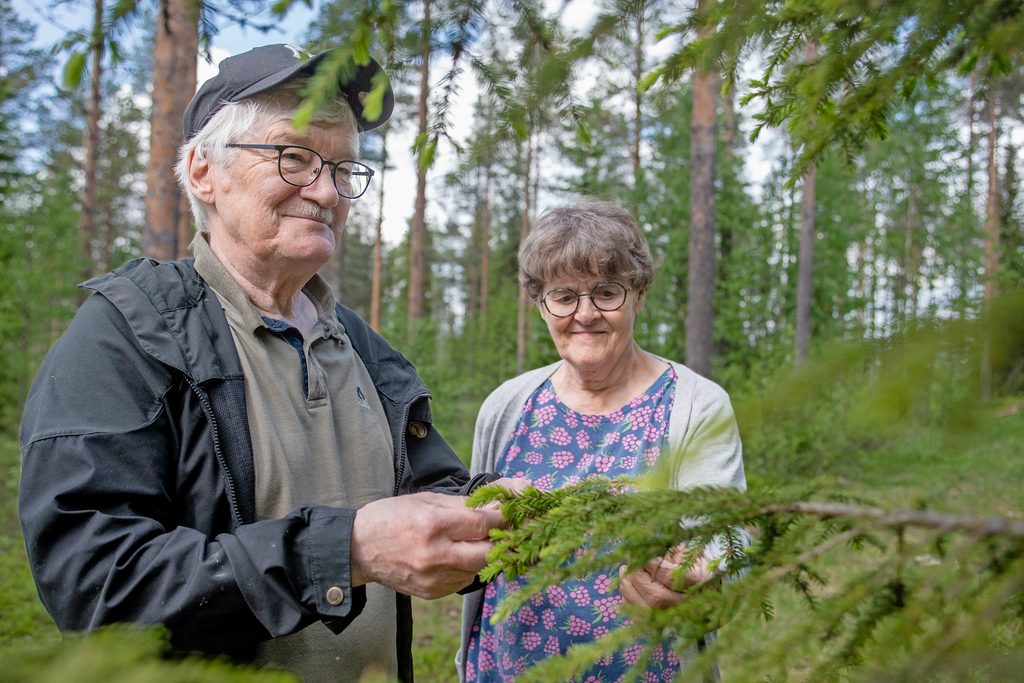 Puuston lisäksi myös vastuun pitää uusiutua, joten sukupolvenvaihdos kannattaa suunnitella ajoissa. Jorma Kouva voi jo huoletta nauttia metsämaisemistaan.