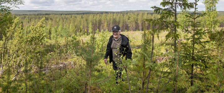 Puuston lisäksi myös vastuun pitää uusiutua, joten sukupolvenvaihdosta kannattaa suunnitella ajoissa. Jorma Kouva voi jo huoletta nauttia metsämaisemistaan.