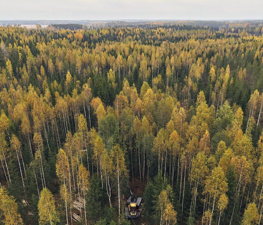 Luontotähtikauppa ja siitä saatava korvaus