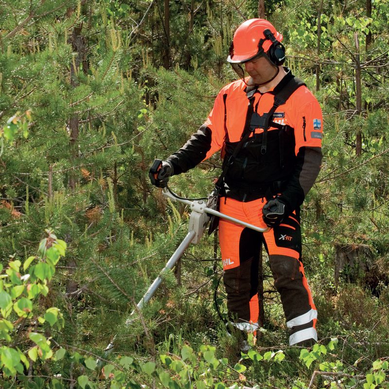 Oikea-aikaisella varhaisperkauksella tehdään tuottava metsä.