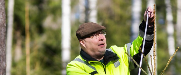 Heikki Virtanen on luonut AARI+ metsänhoidon konseptin.